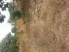 uploadfromtaptalk1378622435243.jpg