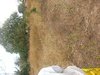 uploadfromtaptalk1378622453084.jpg
