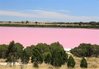 Lake-Retba-Lac-Rose-senegal2.jpg