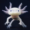 ImageUploadedByJamiiForums1388812008.058020.jpg
