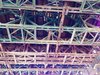 image_7.jpeg image_7.jpeg