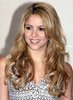 Formal-Long-Wavy-Hairstyles.jpg
