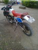 250-3.jpg