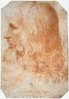 220px-Francesco_Melzi_-_Portrait_of_Leonardo_-_WGA14795.jpg