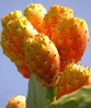 ImageUploadedByJamiiForums1402652266.261999.jpg