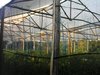 IMG_20140620_081451.jpg