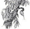 ImageUploadedByJamiiForums1407665238.156445.jpg