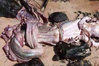 ImageUploadedByJamiiForums1407684396.669244.jpg