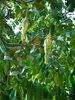 IMG-20140822-WA0003.jpg