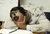 Tricks_to_sleep_in_office3.jpg
