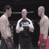 NC35hn4tsV.gif