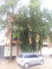 20141108_145648.jpg