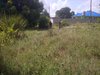 IMG-20141224-01424.jpg