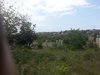 20140928_131121.JPG