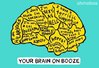 booze-brain.jpg