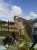 ImageUploadedByJamiiForums1421386743.535783.jpg