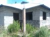 IMAG0303.jpg