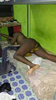 ImageUploadedByJamiiForums1424515755.128432.jpg