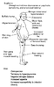 image82.gif image82.gif