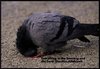 Allah's Glories.JPG Allah's Glories.JPG