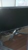 acer.jpg
