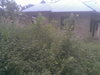 Pic1.jpg