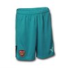 Arsenal GK shorts 2.jpg