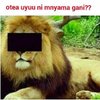 uploadfromtaptalk1441297595244.jpg