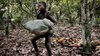 BSSP-Child-Labour-04.jpg