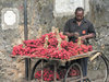 beauty_of_zanzibar_20.jpg