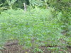 DSC01327.JPG DSC01327.JPG