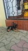 IMG-20160731-WA0018.jpg