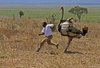 downloadfile-31.jpeg