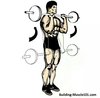 reverse-barbell-curl-main.jpg