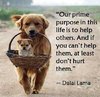 helping-others-quote-3-picture-quote-1.jpg