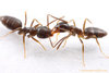 images.jpg