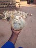 IMG-20180319-WA0015.jpg