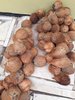 IMG-20180417-WA0024.jpg