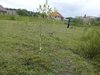 20180508_153526.jpg