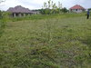 20180508_153518.jpg