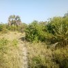 IMG-20180320-WA0049.jpg