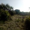 IMG-20180320-WA0042.jpg