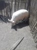 20180705_124309.jpg