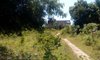 IMG-20180905-WA0002.jpg
