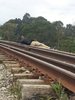 IMG-20180914-WA0007.jpeg