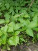 20181010_143254.jpg