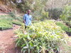 DSCN1354.JPG