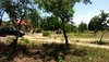 IMG-20181020-WA0099.jpg
