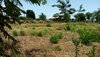 IMG-20181020-WA0102.jpg