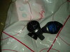 20181218_005929.jpg